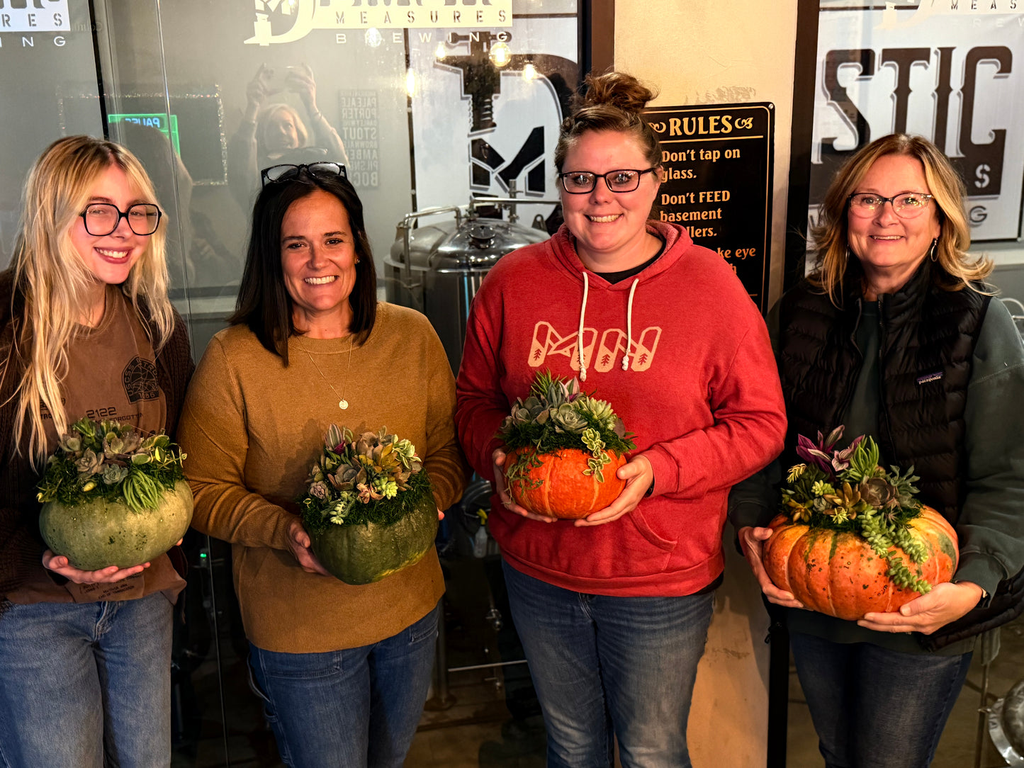 Succulent Pumpkin Workshop | Old No. 1 Bar & Grill — Morris, MN