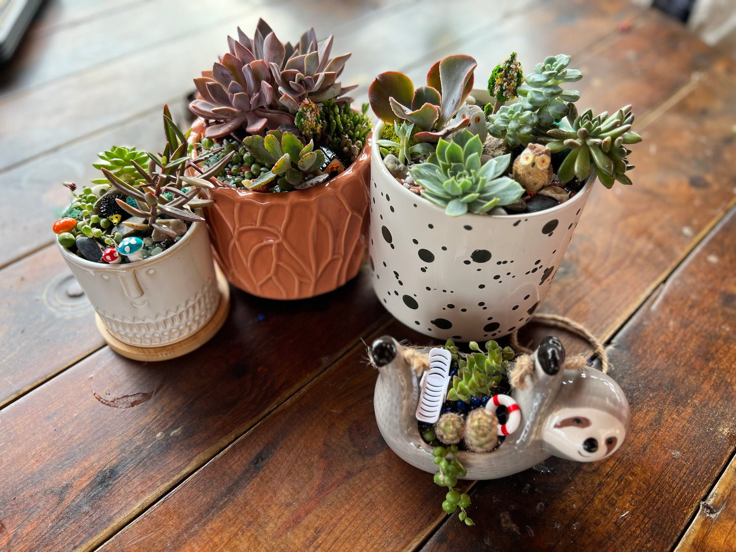 DIY Succulent Workshop | Wet woody's Pub & Grub | Deer Creek, MN | On the Deck Boat!