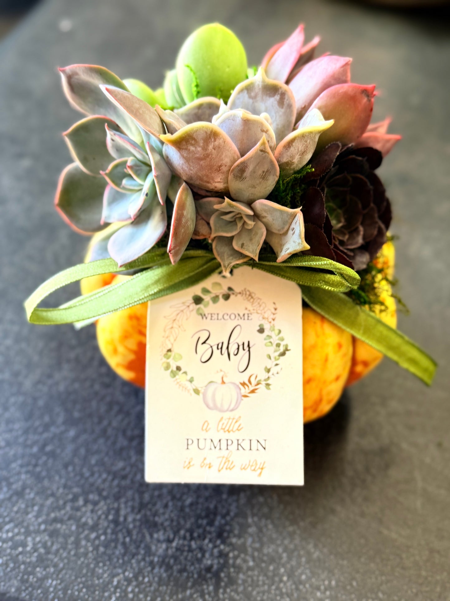 Succulent Pumpkin Workshop| Copper Trail Brewing Co. | Alexandria, MN - Oletoberfest
