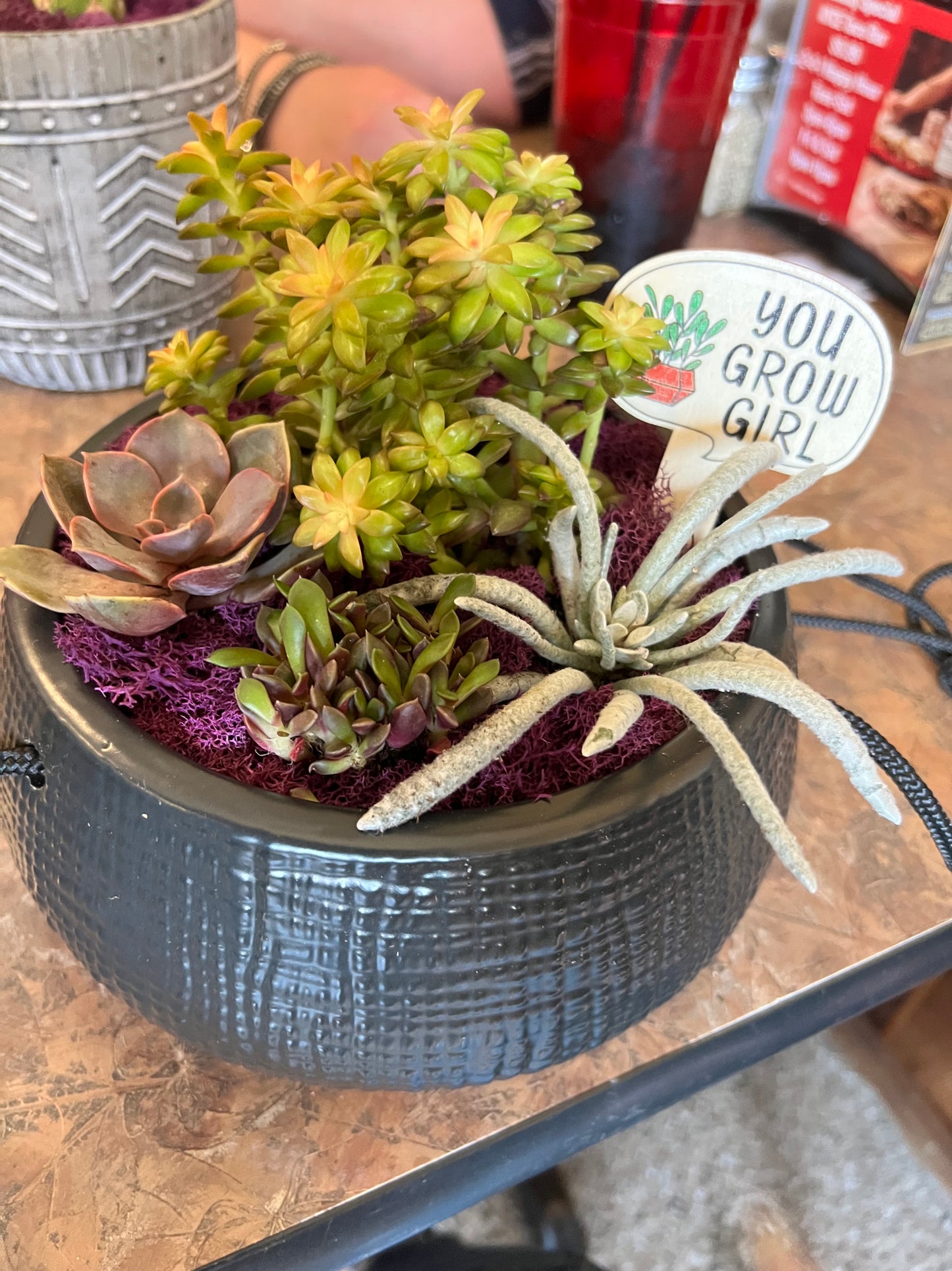DIY Succulent Workshop | Wet woody's Pub & Grub | Deer Creek, MN | On the Deck Boat!