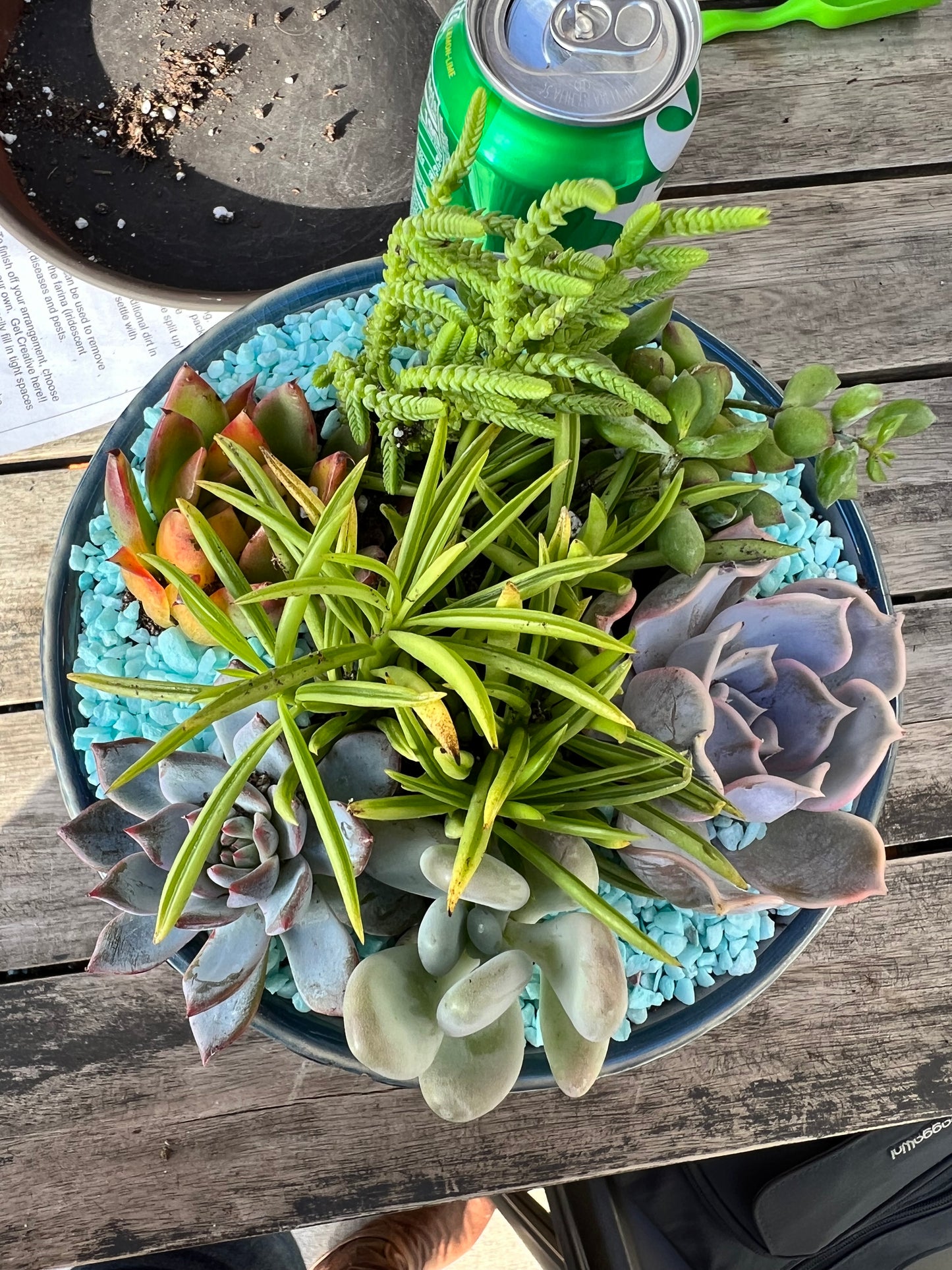 DIY Succulent Workshop | Wet woody's Pub & Grub | Deer Creek, MN | On the Deck Boat!