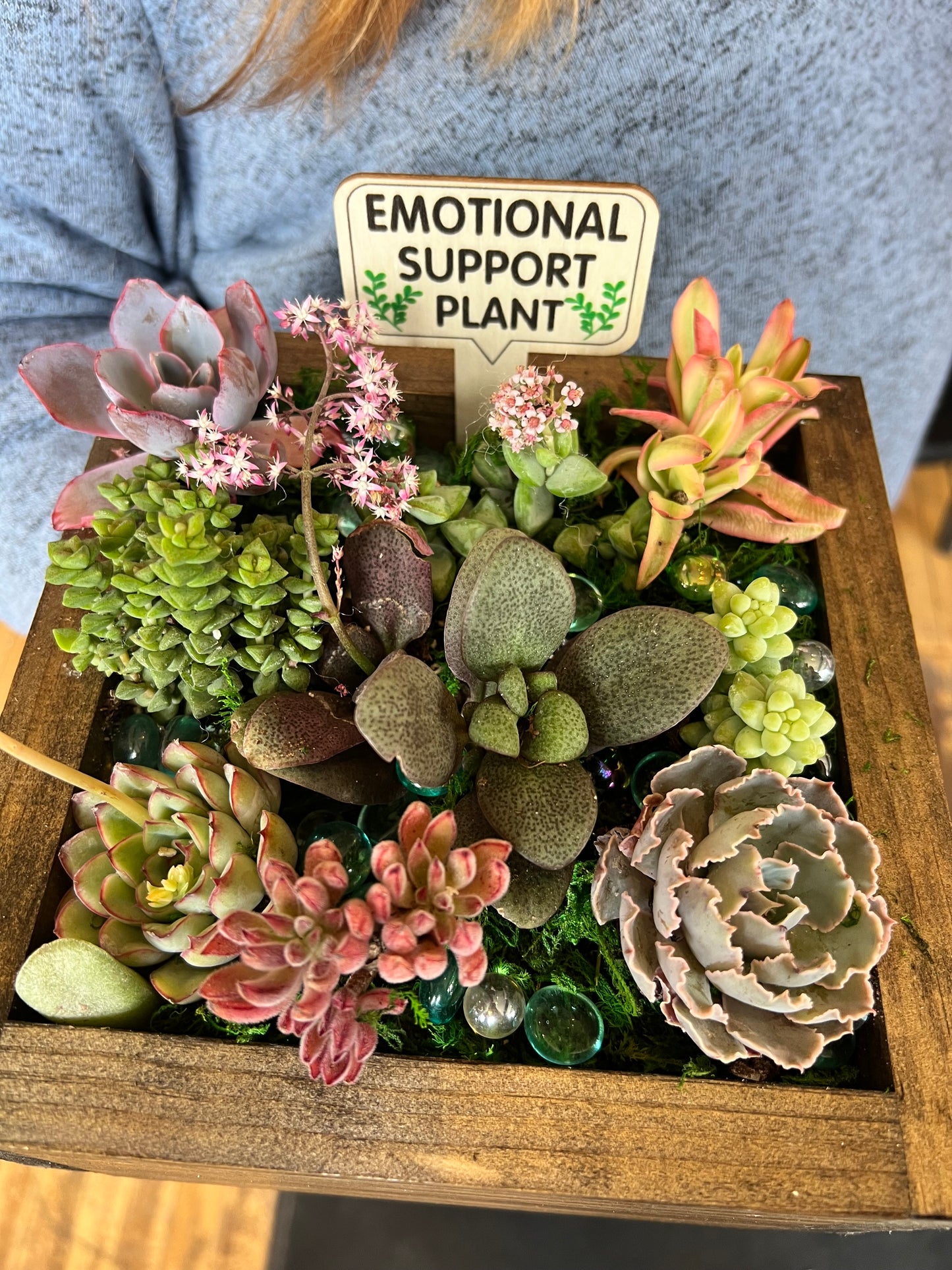 DIY Succulent Workshop | ABC Brewing- Battle Lake, MN | On the Patio!