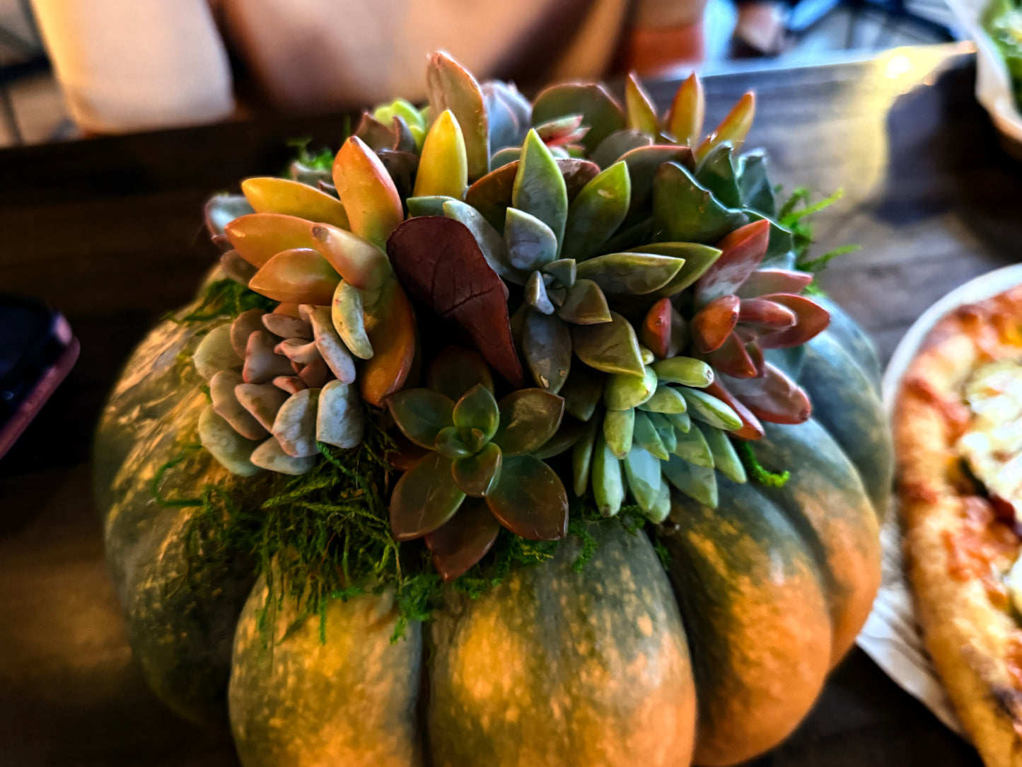 Succulent Pumpkin Workshop | Old No. 1 Bar & Grill — Morris, MN