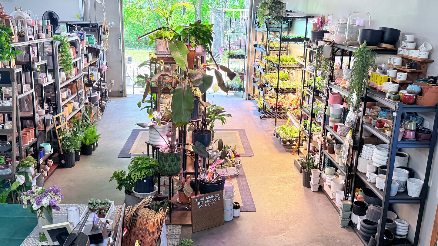 In Studio Shopping- No time limit