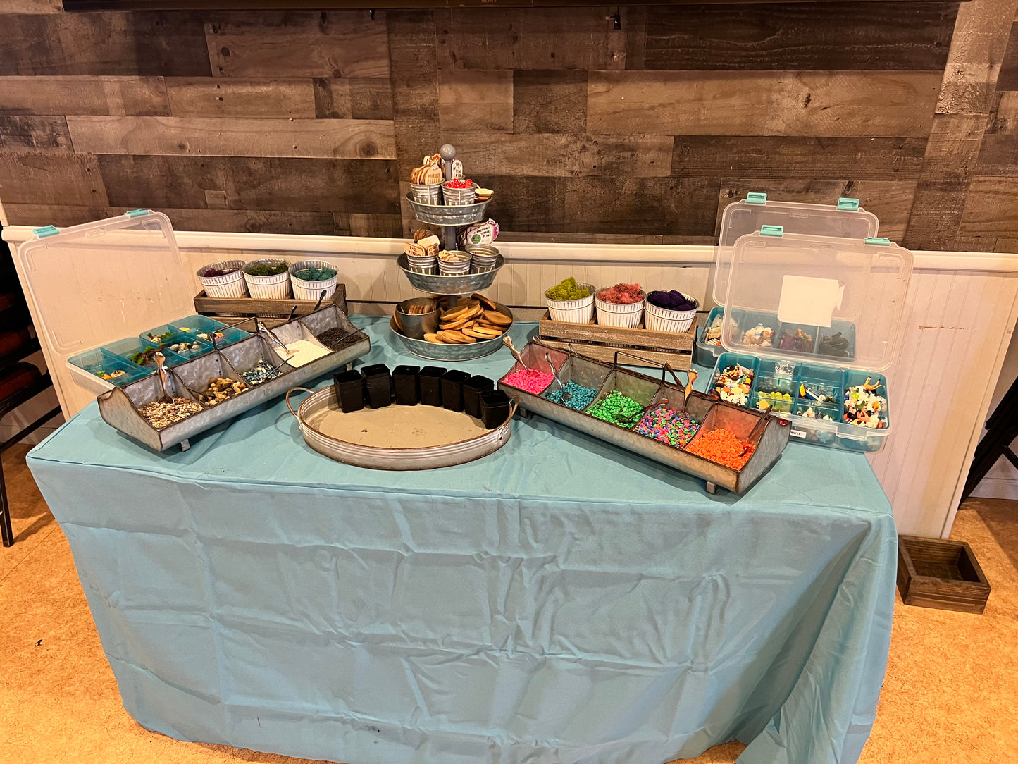 DIY Succulent Workshop | Wet woody's Pub & Grub | Deer Creek, MN | On the Deck Boat!