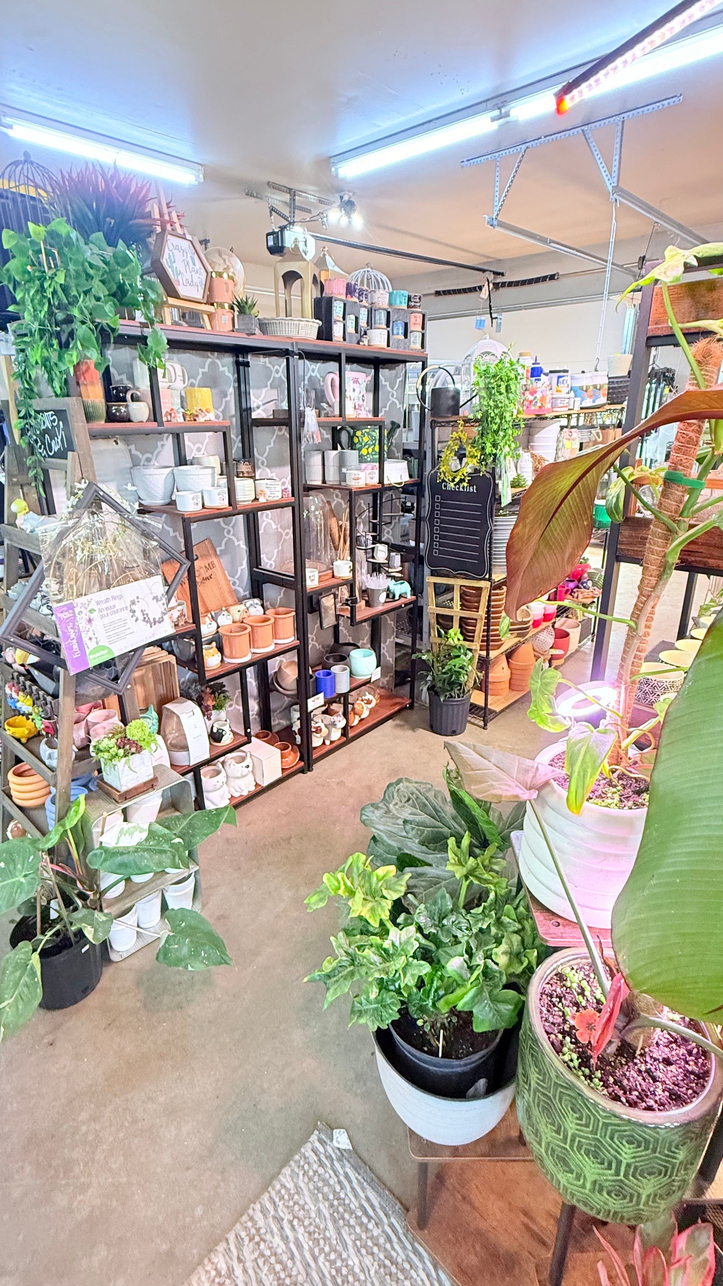 In Studio Shopping- No time limit