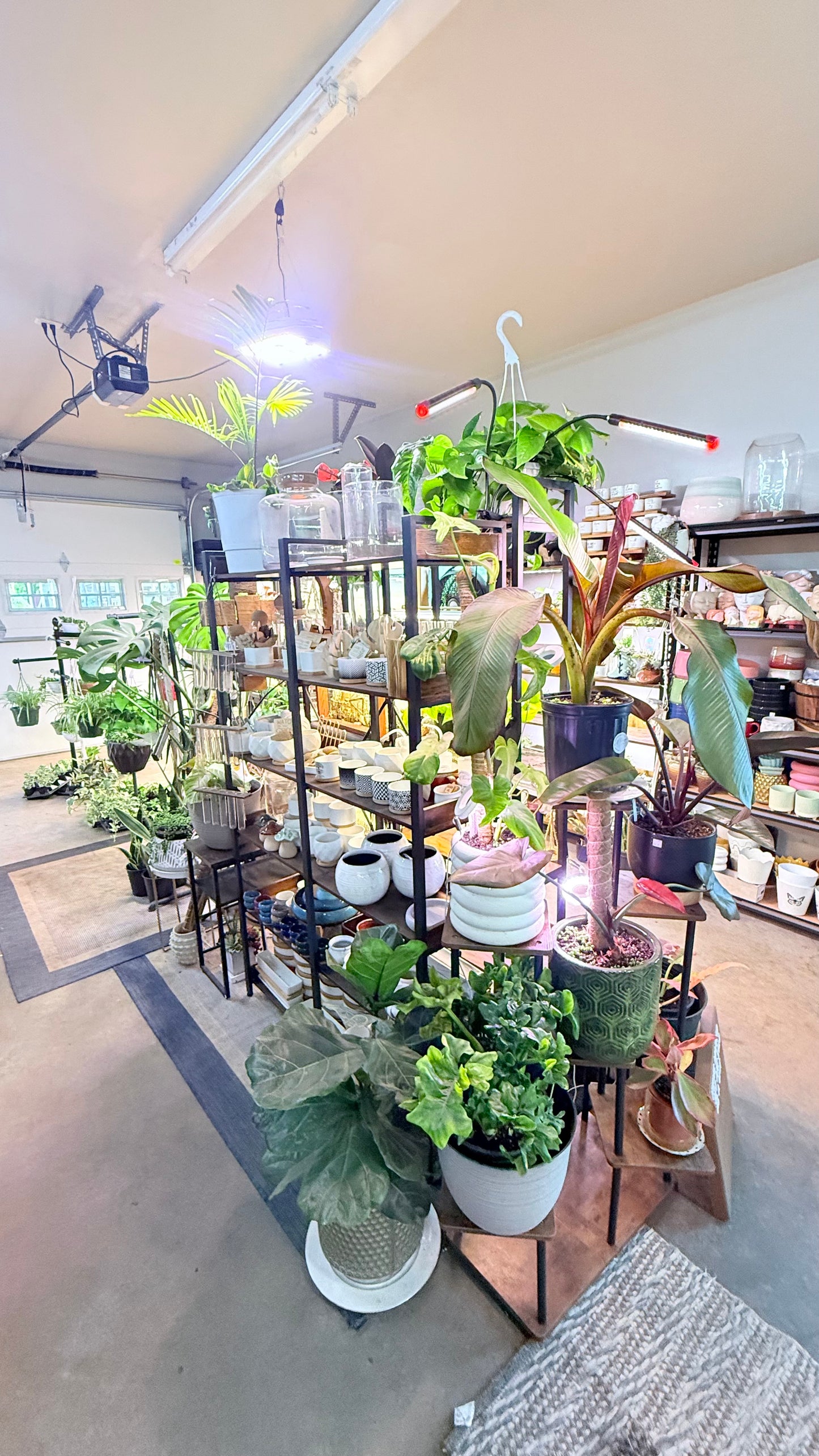 In Studio Shopping- No time limit