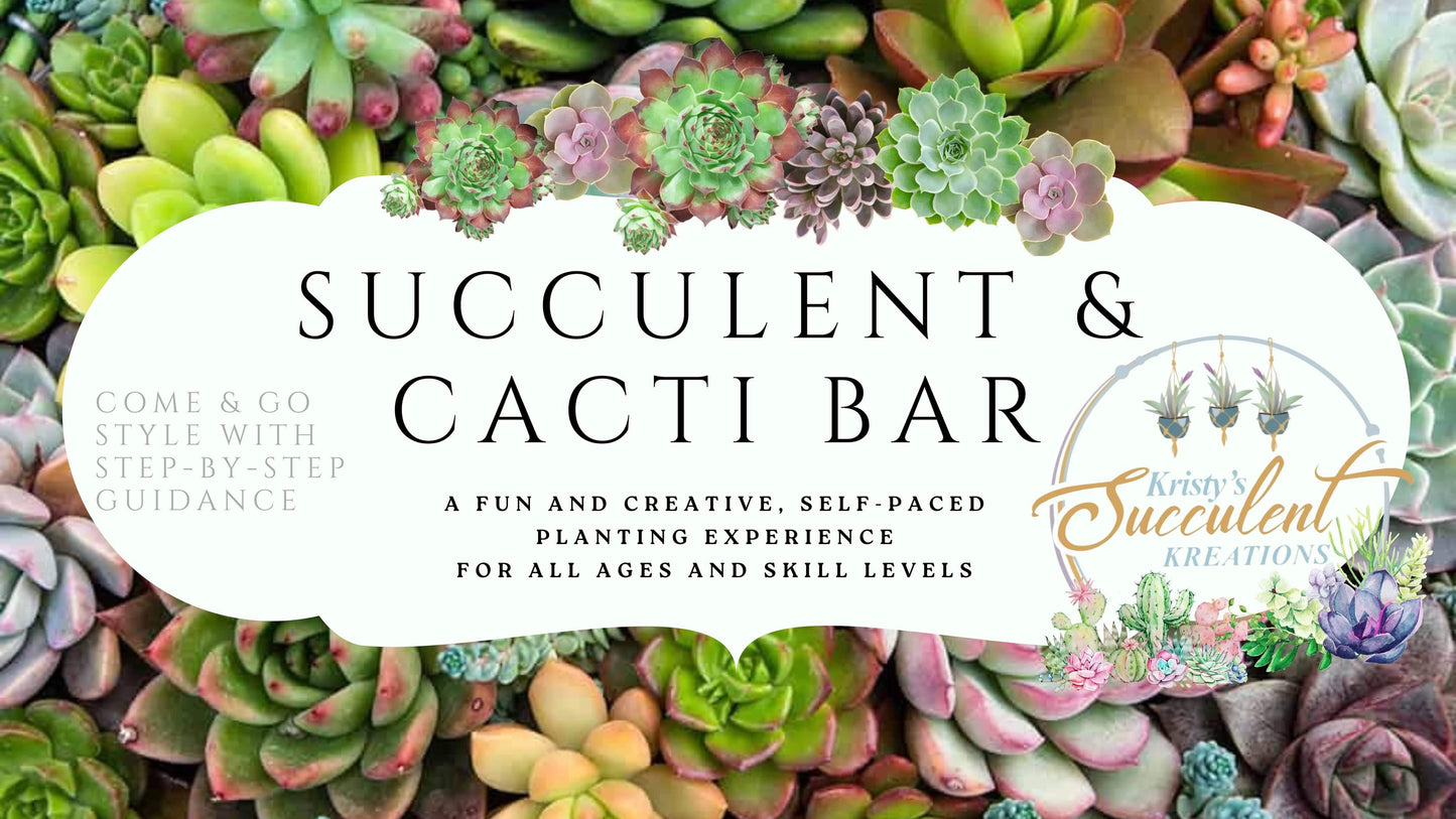 DIY Succulent Workshop | Wet woody's Pub & Grub | Deer Creek, MN | On the Deck Boat!