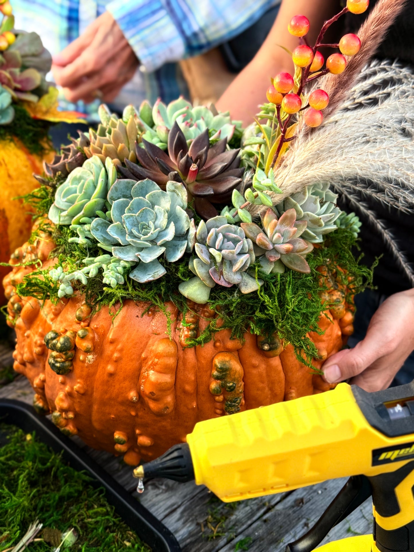 Succulent Pumpkin Workshop| Wet woody's Pub & Grub | Deer Creek, MN