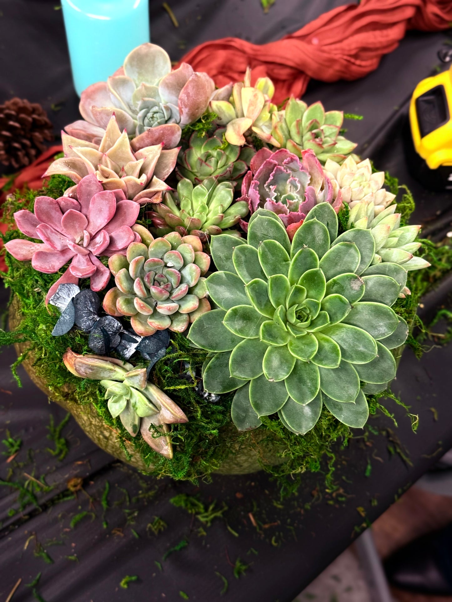 Succulent Pumpkin Workshop| ABC Brewing| Battle Lake, MN
