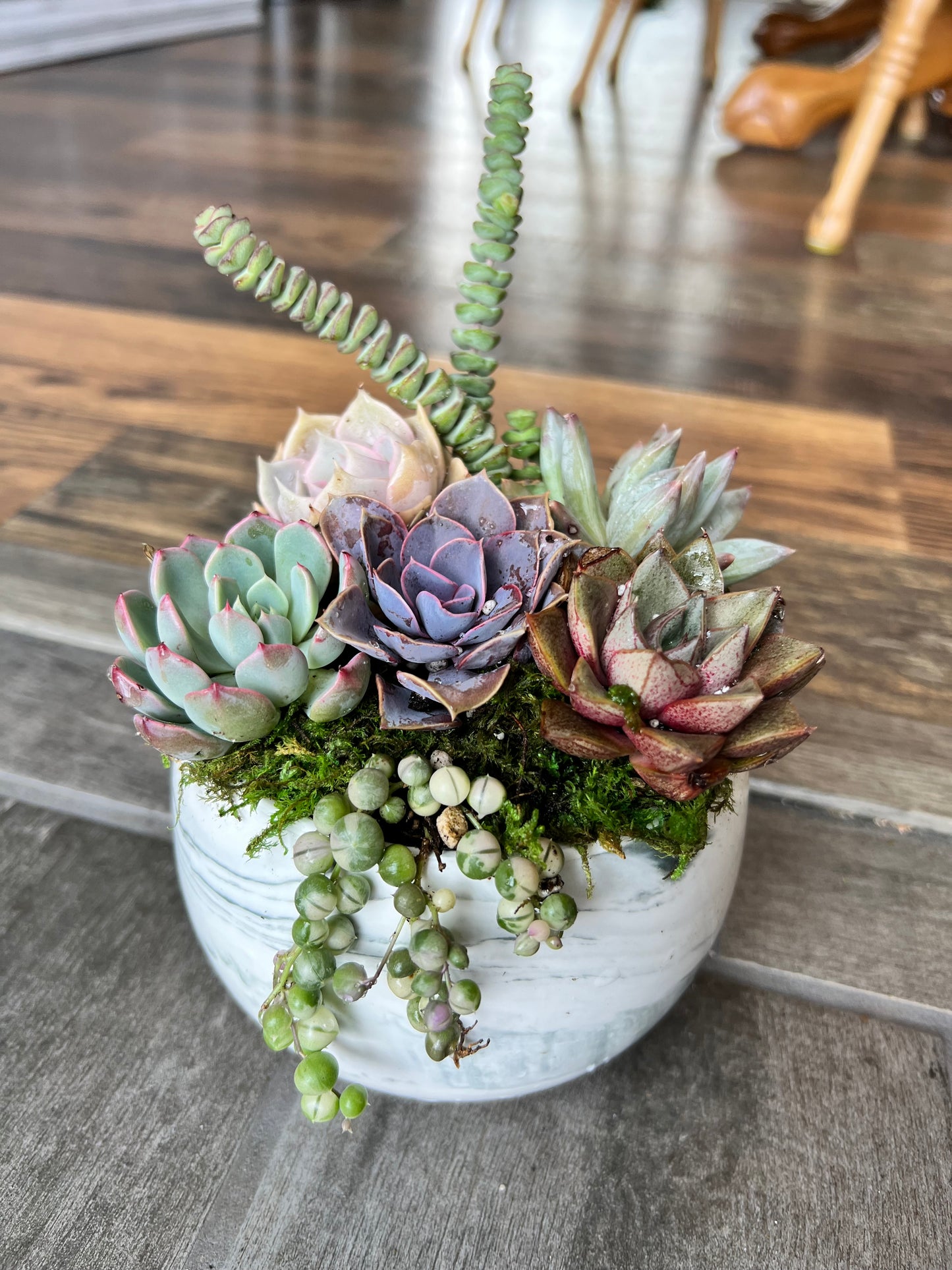 DIY Succulent Workshop | Wet woody's Pub & Grub | Deer Creek, MN | On the Deck Boat!