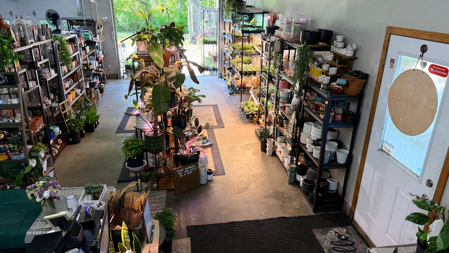 In Studio Shopping- No time limit