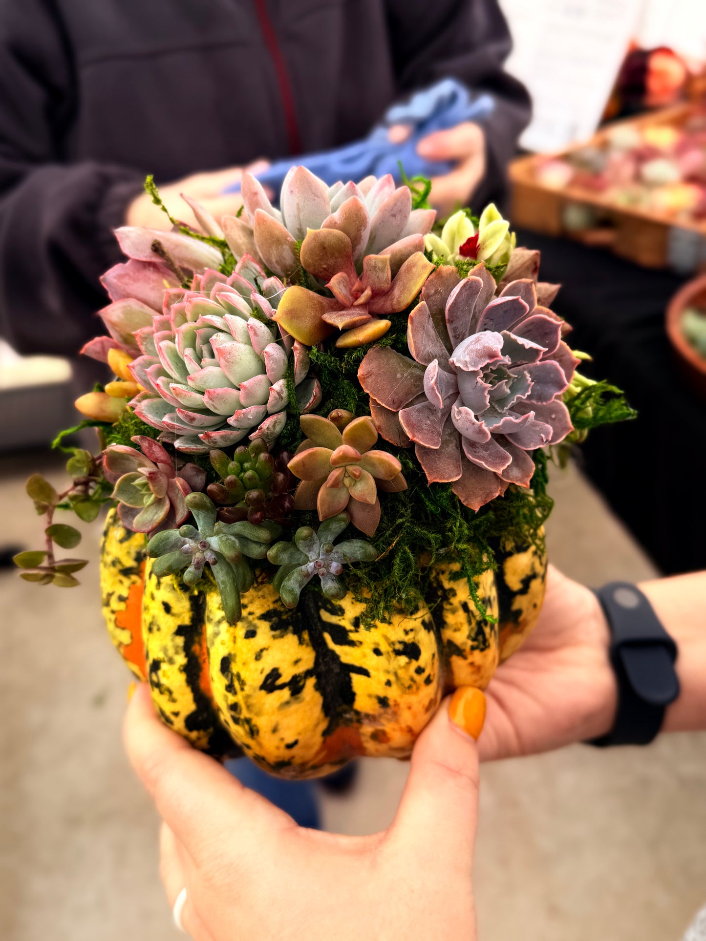 Succulent Pumpkin Workshop| Wet woody's Pub & Grub | Deer Creek, MN