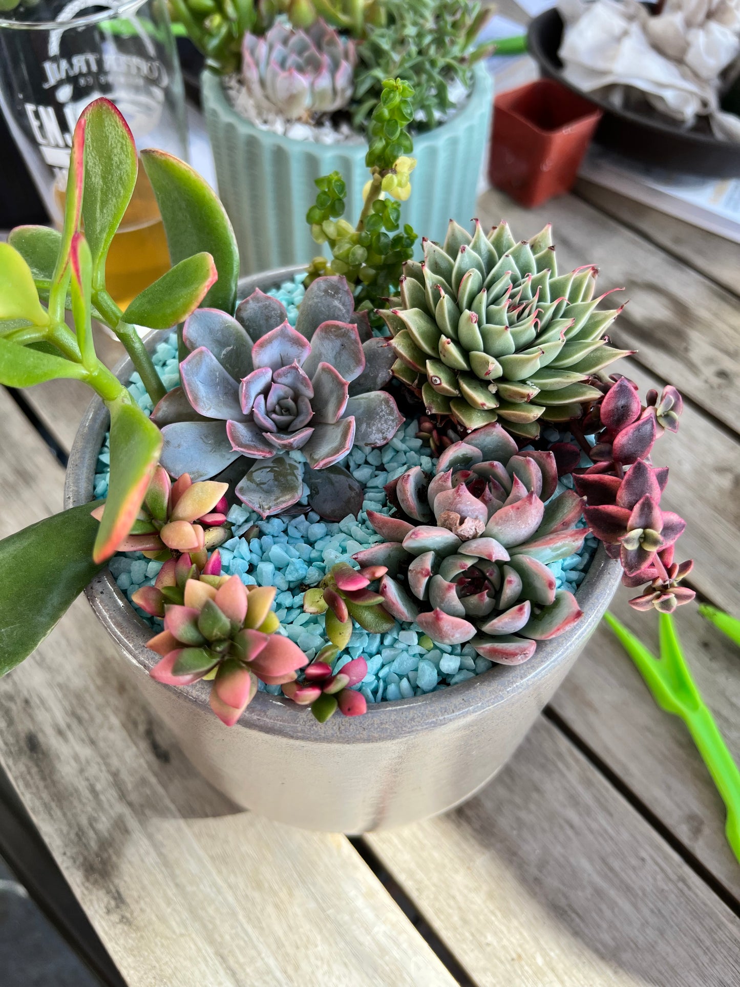 DIY Succulent Workshop | Wet woody's Pub & Grub | Deer Creek, MN | On the Deck Boat!