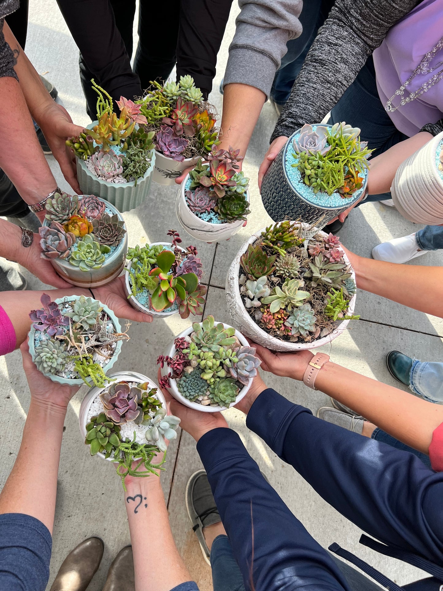 DIY Succulent Workshop | Wet woody's Pub & Grub | Deer Creek, MN | On the Deck Boat!