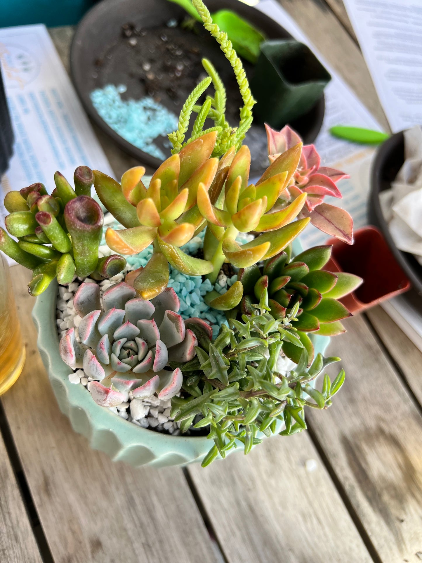 DIY Succulent Workshop | Wet woody's Pub & Grub | Deer Creek, MN | On the Deck Boat!