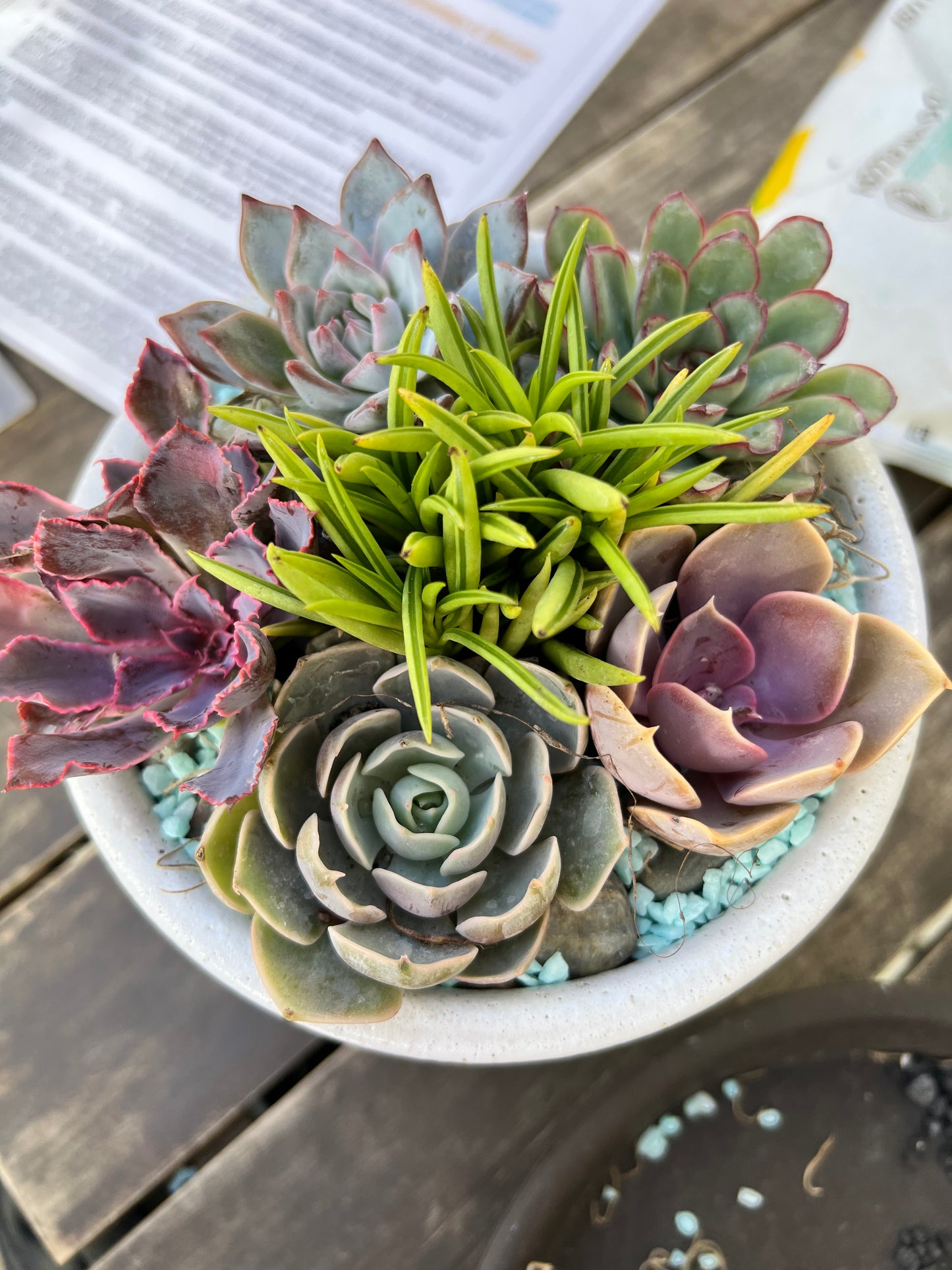 DIY Succulent Workshop | Wet woody's Pub & Grub | Deer Creek, MN | On the Deck Boat!