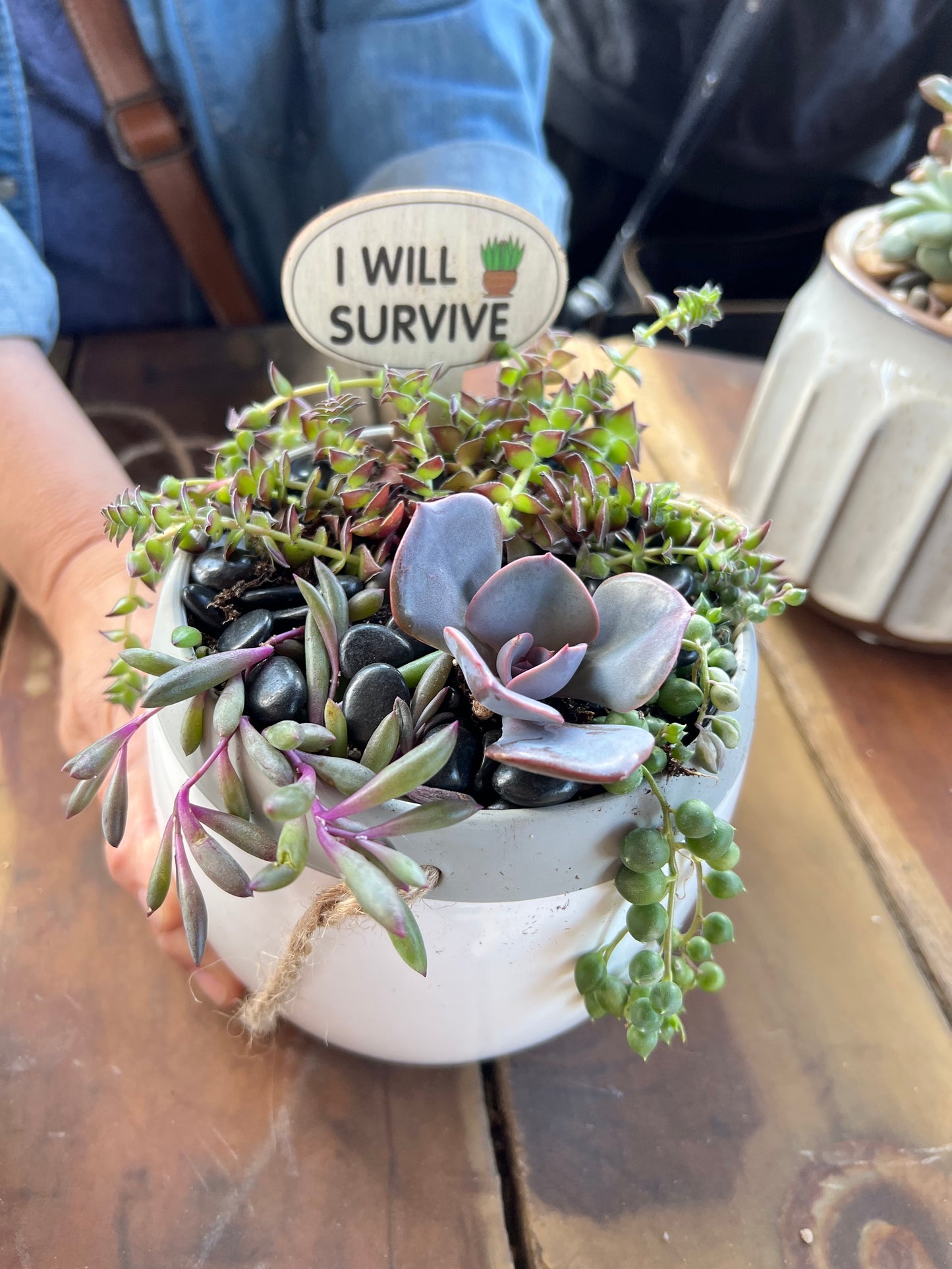 DIY Succulent Workshop | Wet woody's Pub & Grub | Deer Creek, MN | On the Deck Boat!