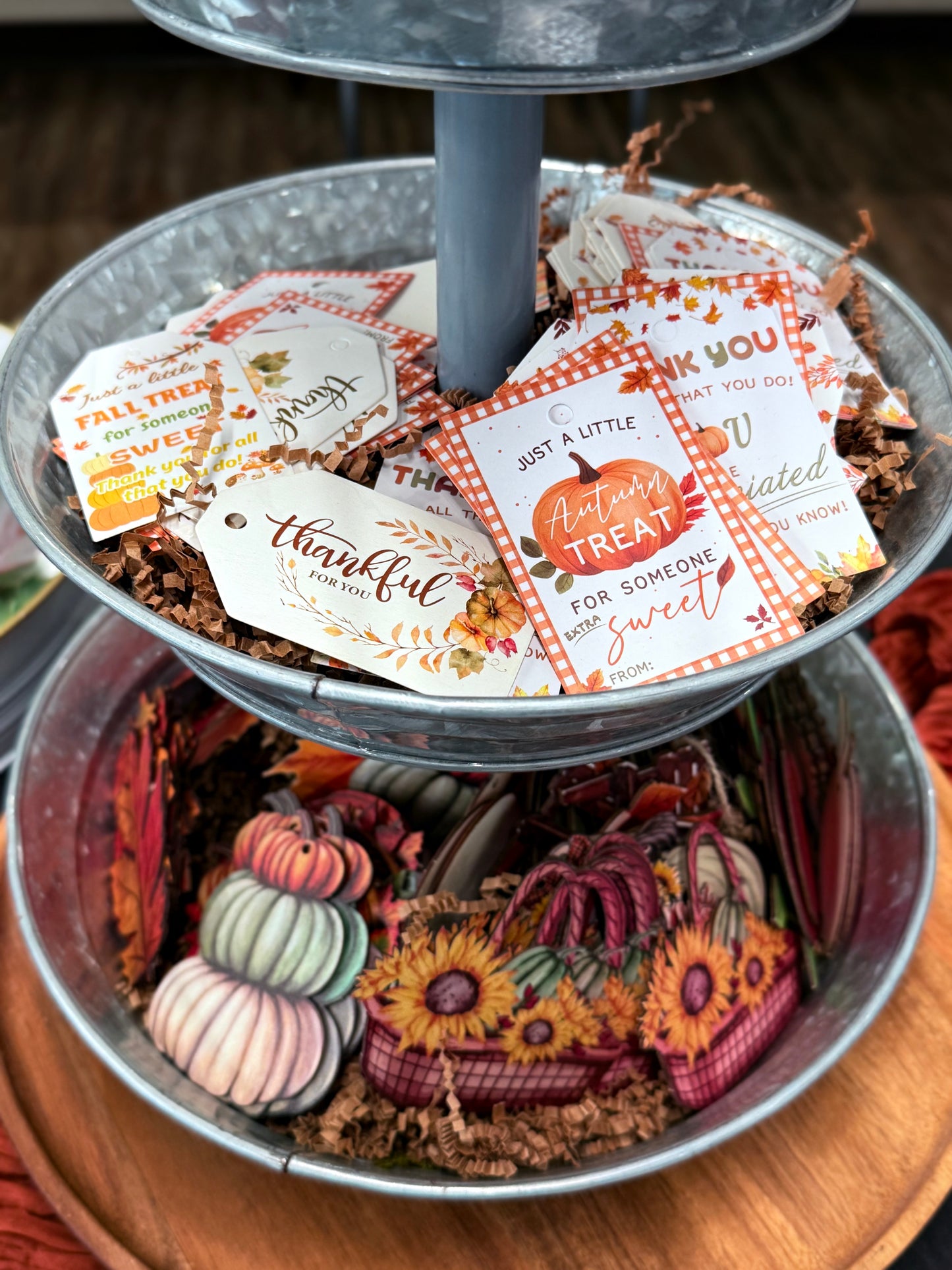 Succulent Pumpkin Workshop| ABC Brewing| Battle Lake, MN