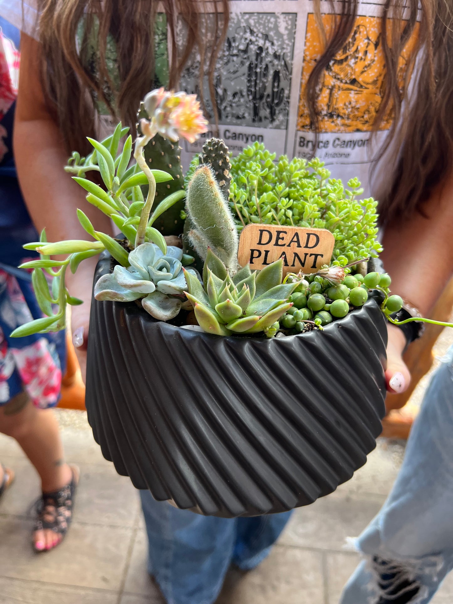 DIY Succulent Workshop | Wet woody's Pub & Grub | Deer Creek, MN | On the Deck Boat!