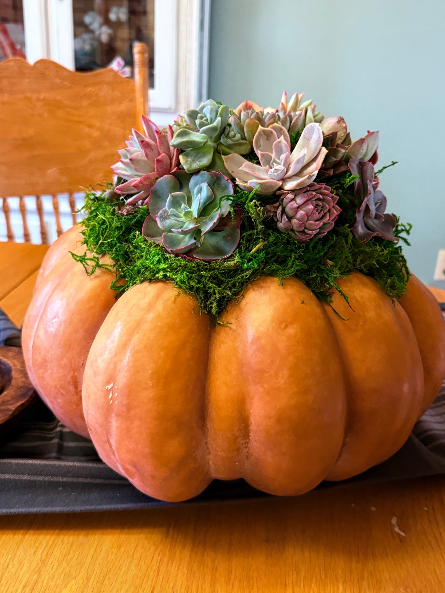 Succulent Pumpkin Workshop| ABC Brewing| Battle Lake, MN