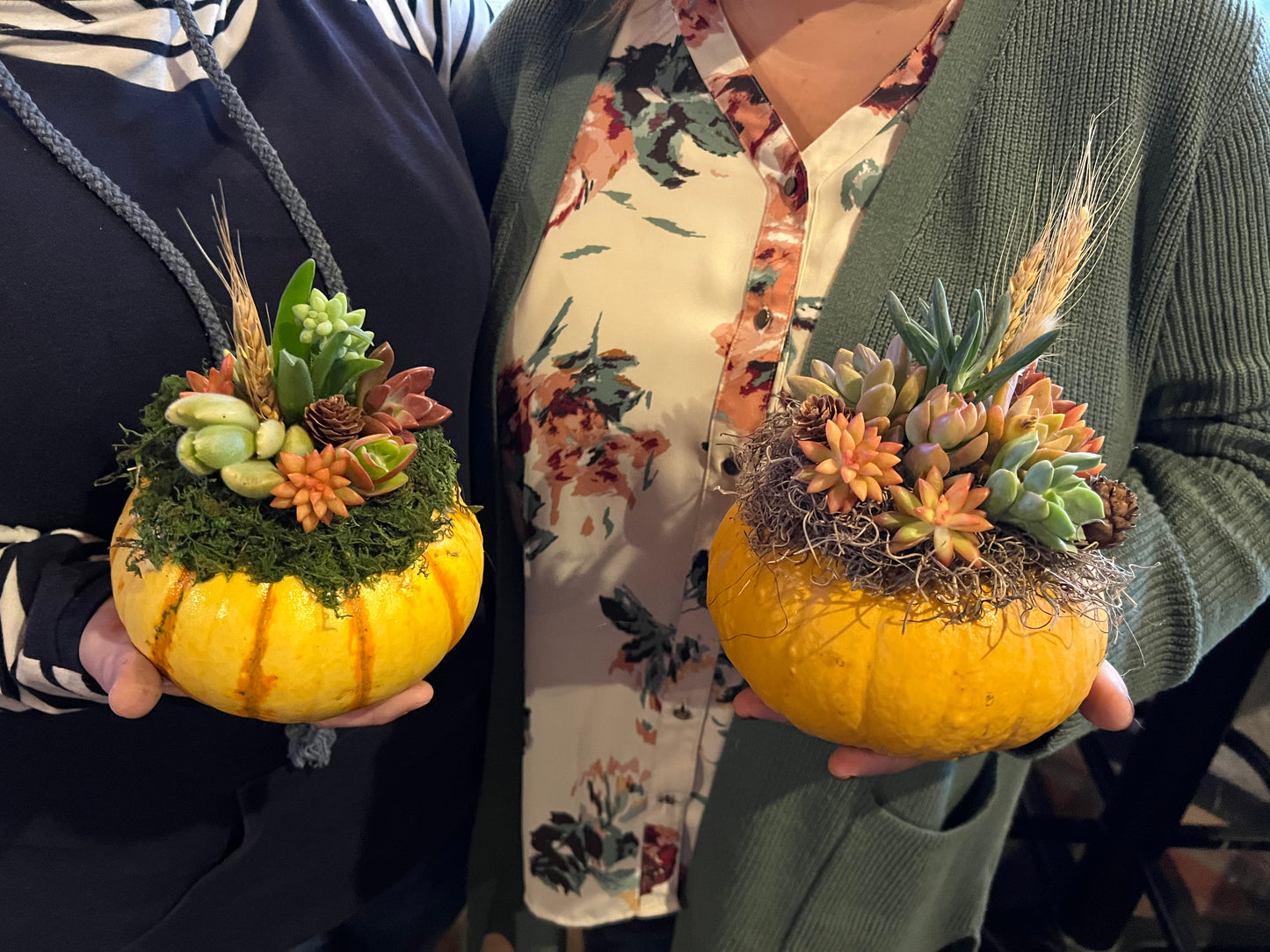 Succulent Pumpkin Workshop at Copper Trail Brewing - Alexandria, MN