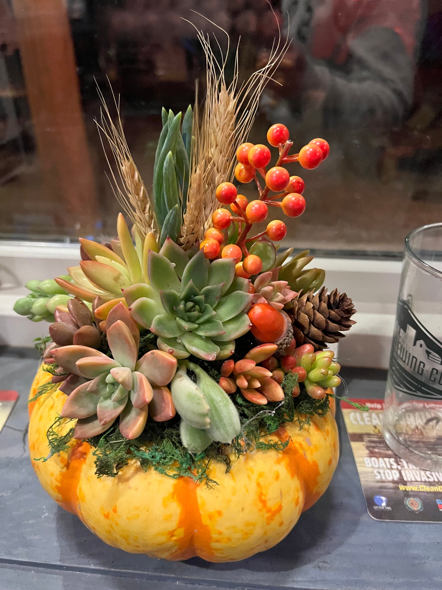 Succulent Pumpkin Workshop at Copper Trail Brewing - Alexandria, MN