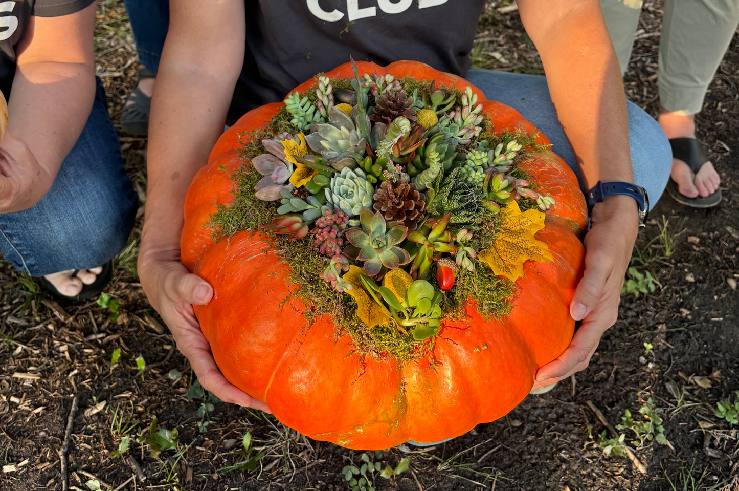Succulent Pumpkin Workshop at Copper Trail Brewing - Alexandria, MN