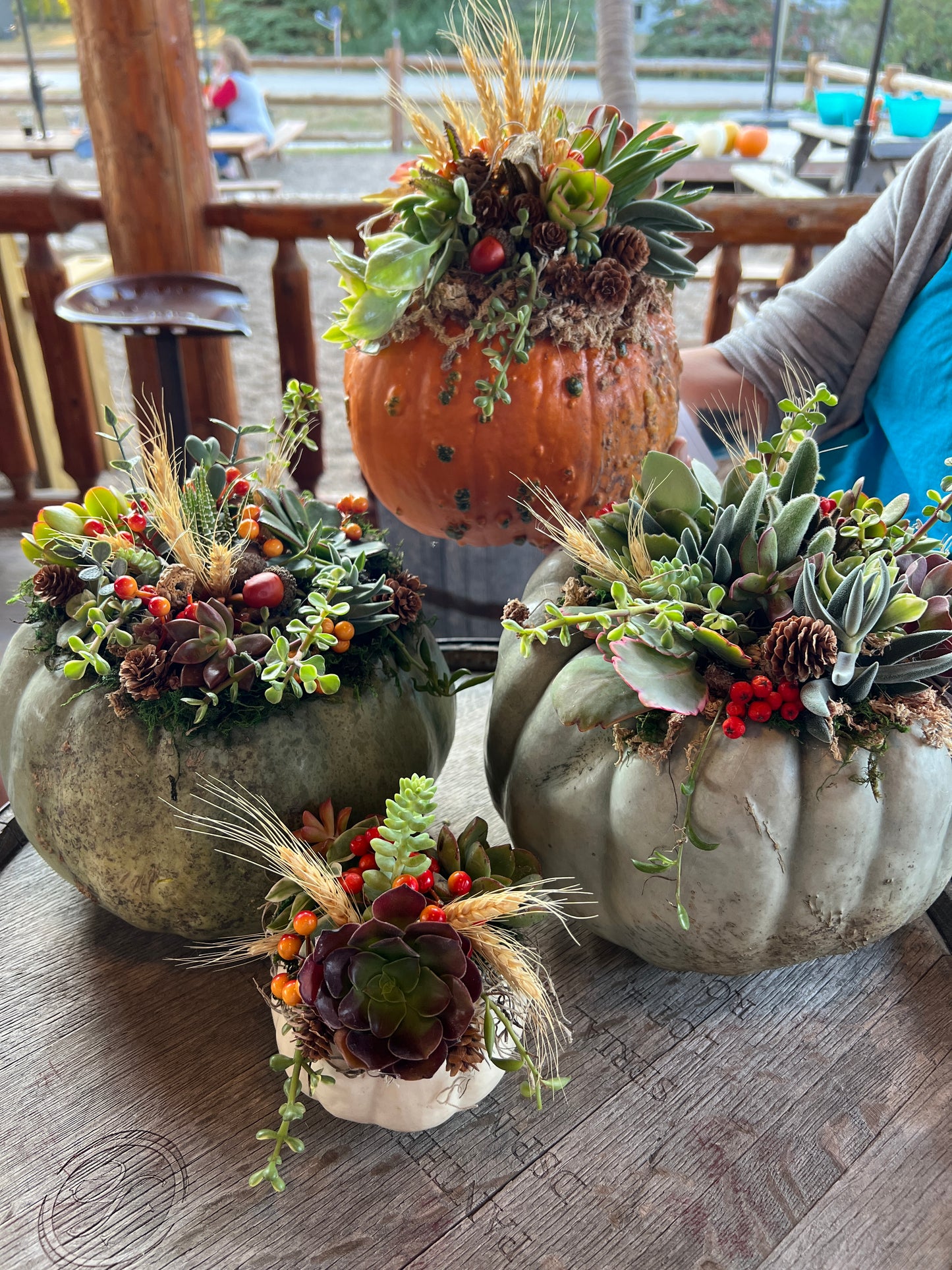 Succulent Pumpkin Workshop at Copper Trail Brewing - Alexandria, MN