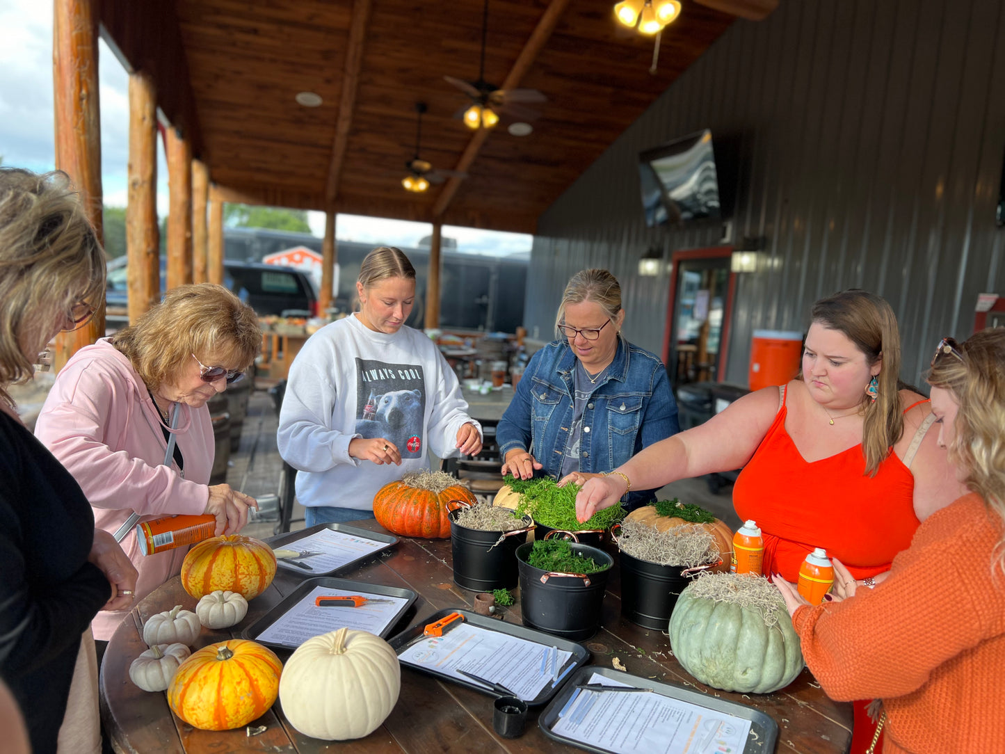 Succulent Pumpkin Workshop at Copper Trail Brewing - Alexandria, MN
