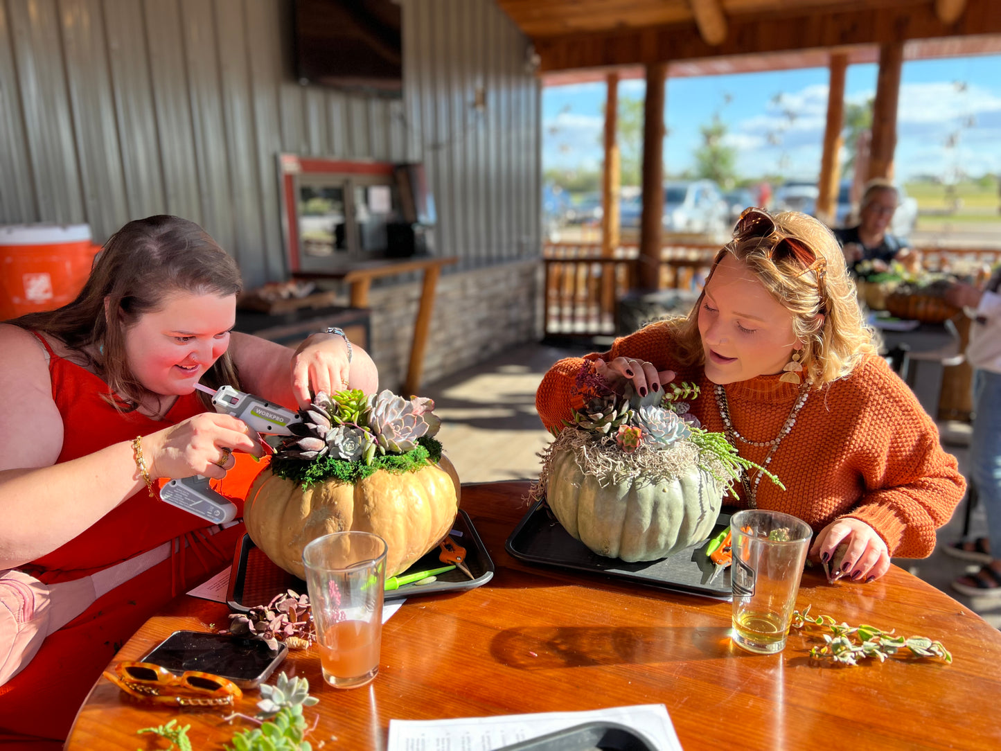 Succulent Pumpkin Workshop at Copper Trail Brewing - Alexandria, MN