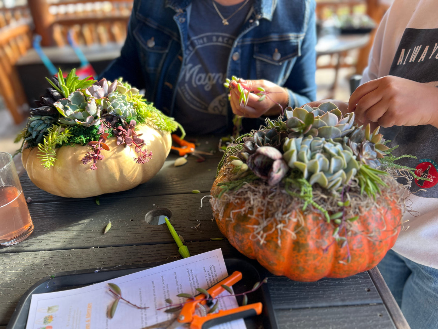 Succulent Pumpkin Workshop at Copper Trail Brewing - Alexandria, MN