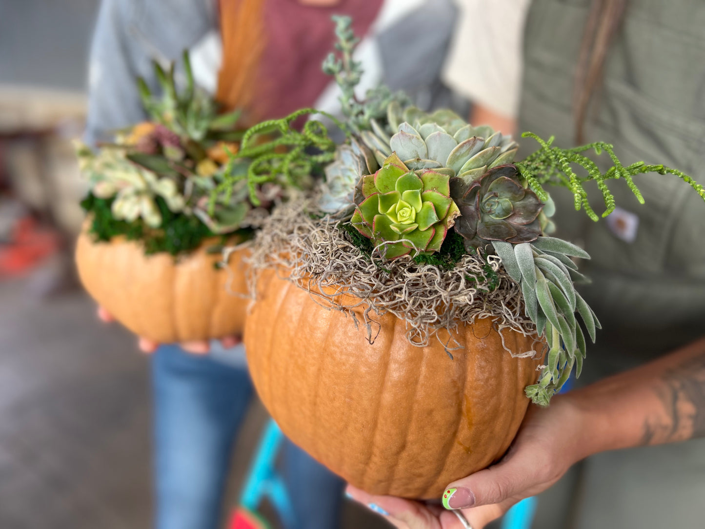 Succulent Pumpkin Workshop at Messiah Lutheran Church - Underwood, MN OPEN TO THE PUBLIC