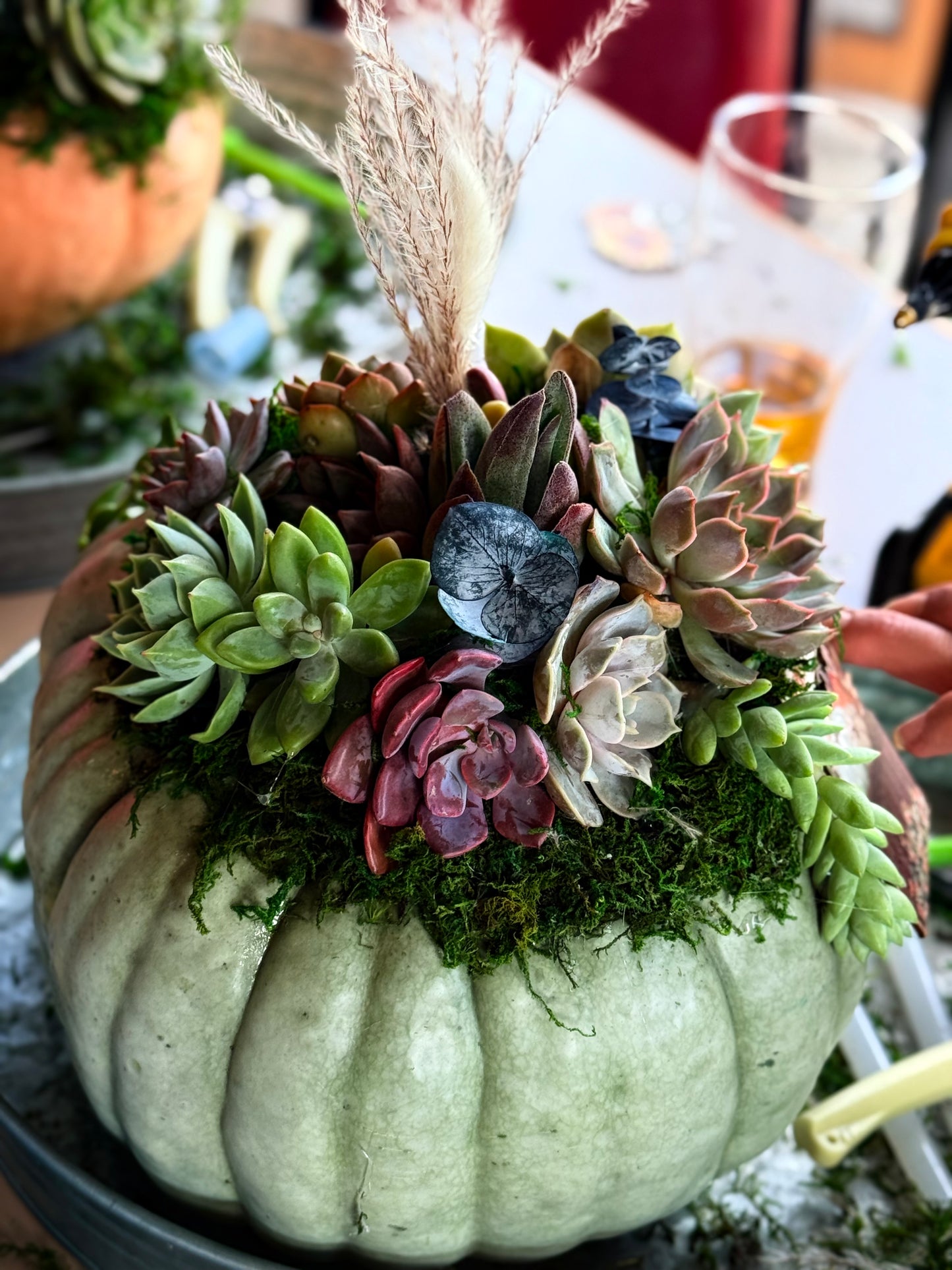 Succulent Pumpkin Workshop| ABC Brewing| Battle Lake, MN