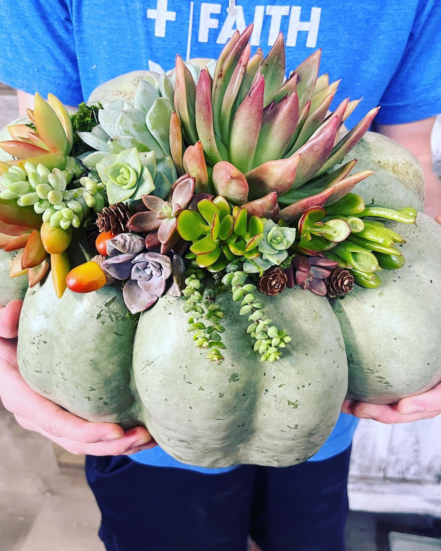 Succulent Pumpkin Workshop at Copper Trail Brewing - Alexandria, MN