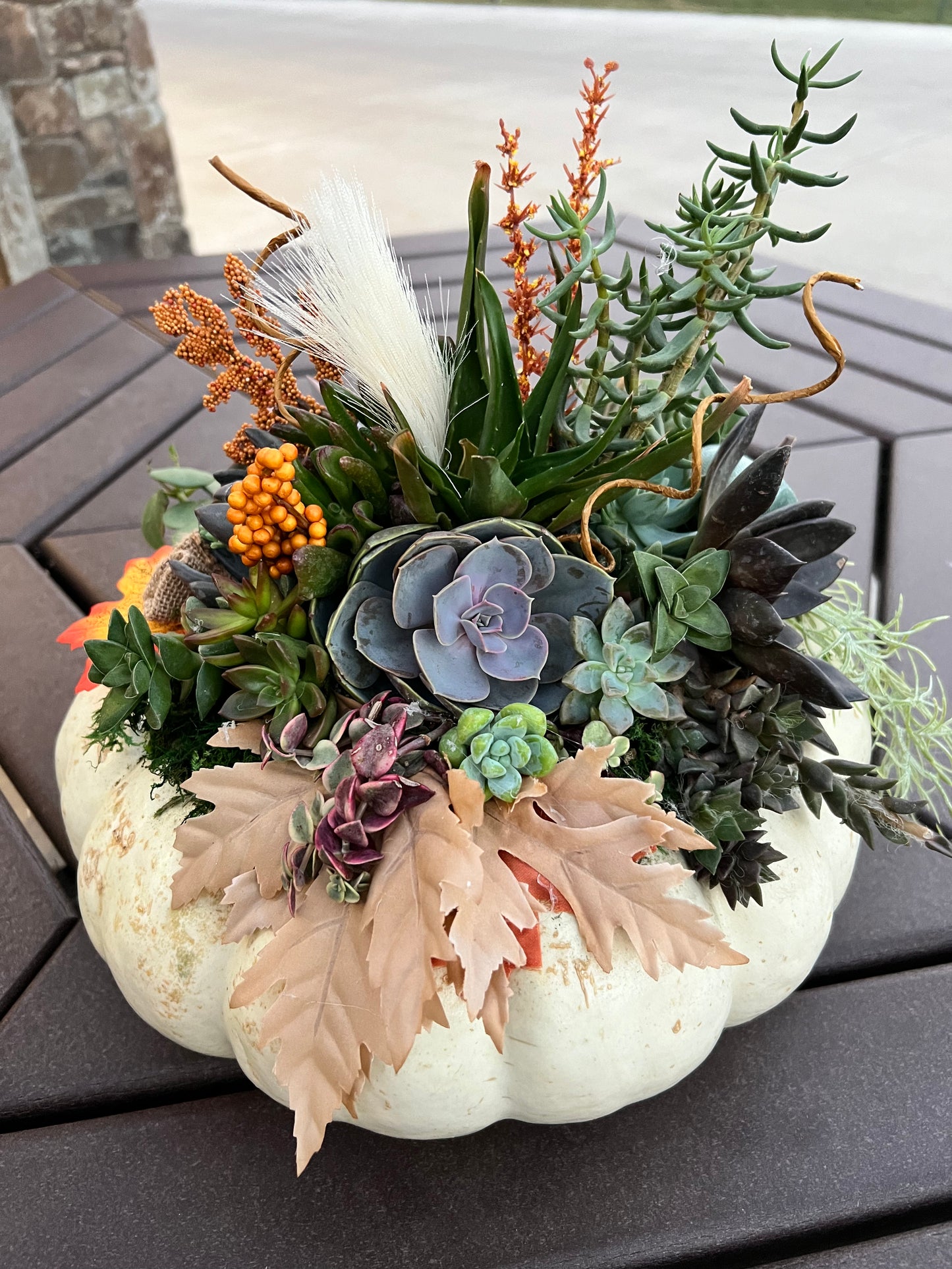 Succulent Pumpkin Workshop at Copper Trail Brewing - Alexandria, MN