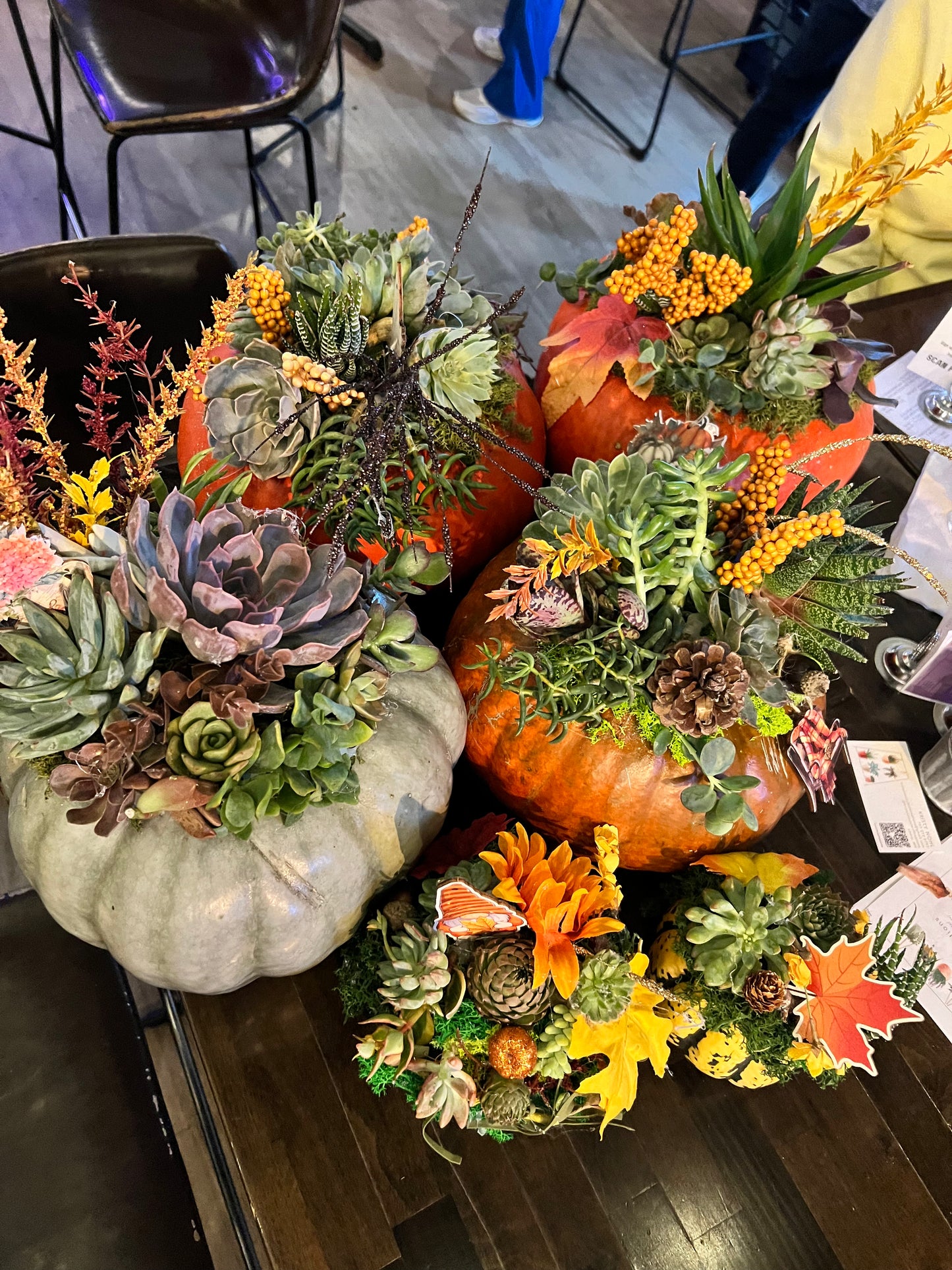 Succulent Pumpkin Workshop at Copper Trail Brewing - Alexandria, MN