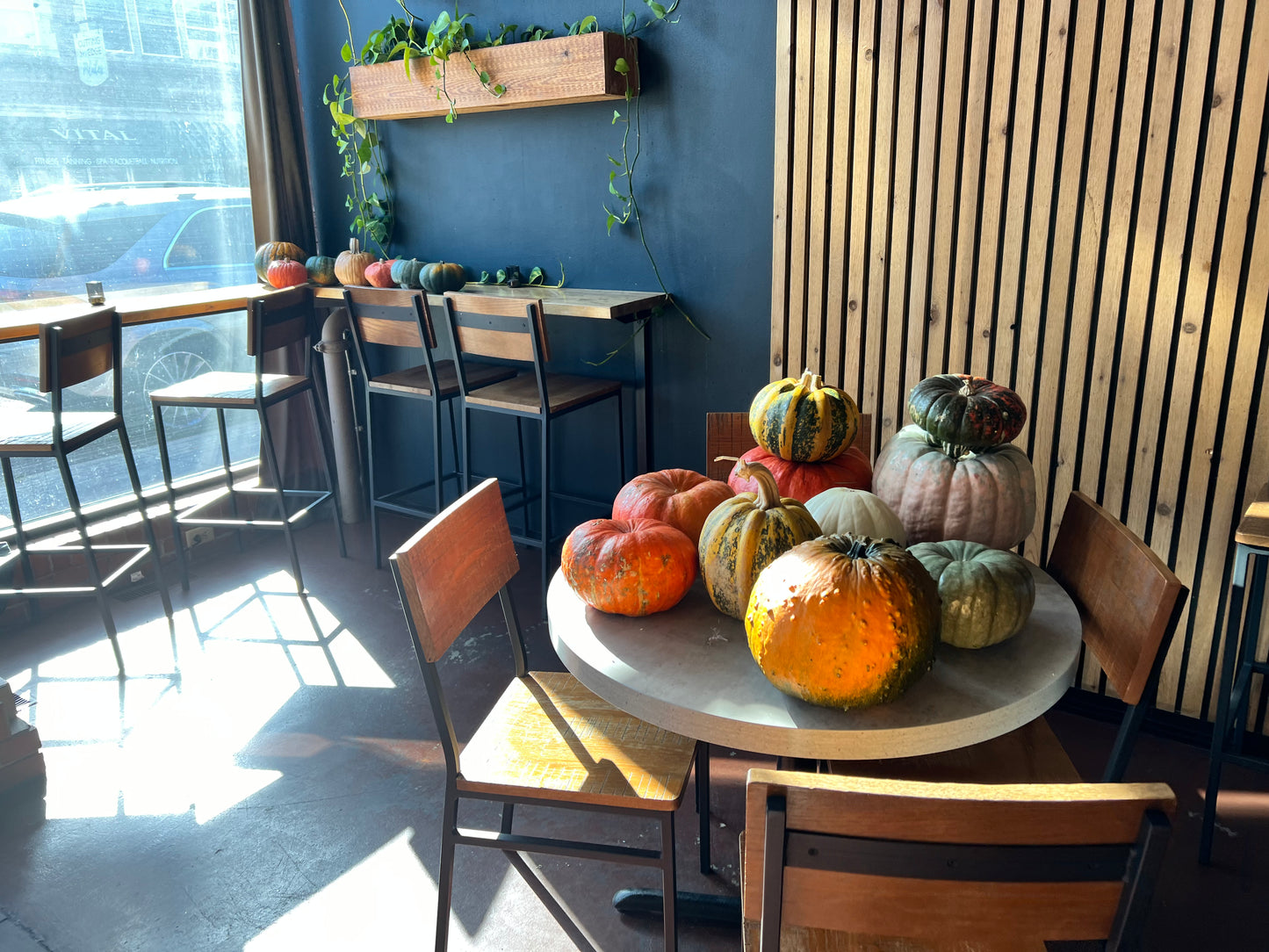 Succulent Pumpkin Workshop at Messiah Lutheran Church - Underwood, MN OPEN TO THE PUBLIC