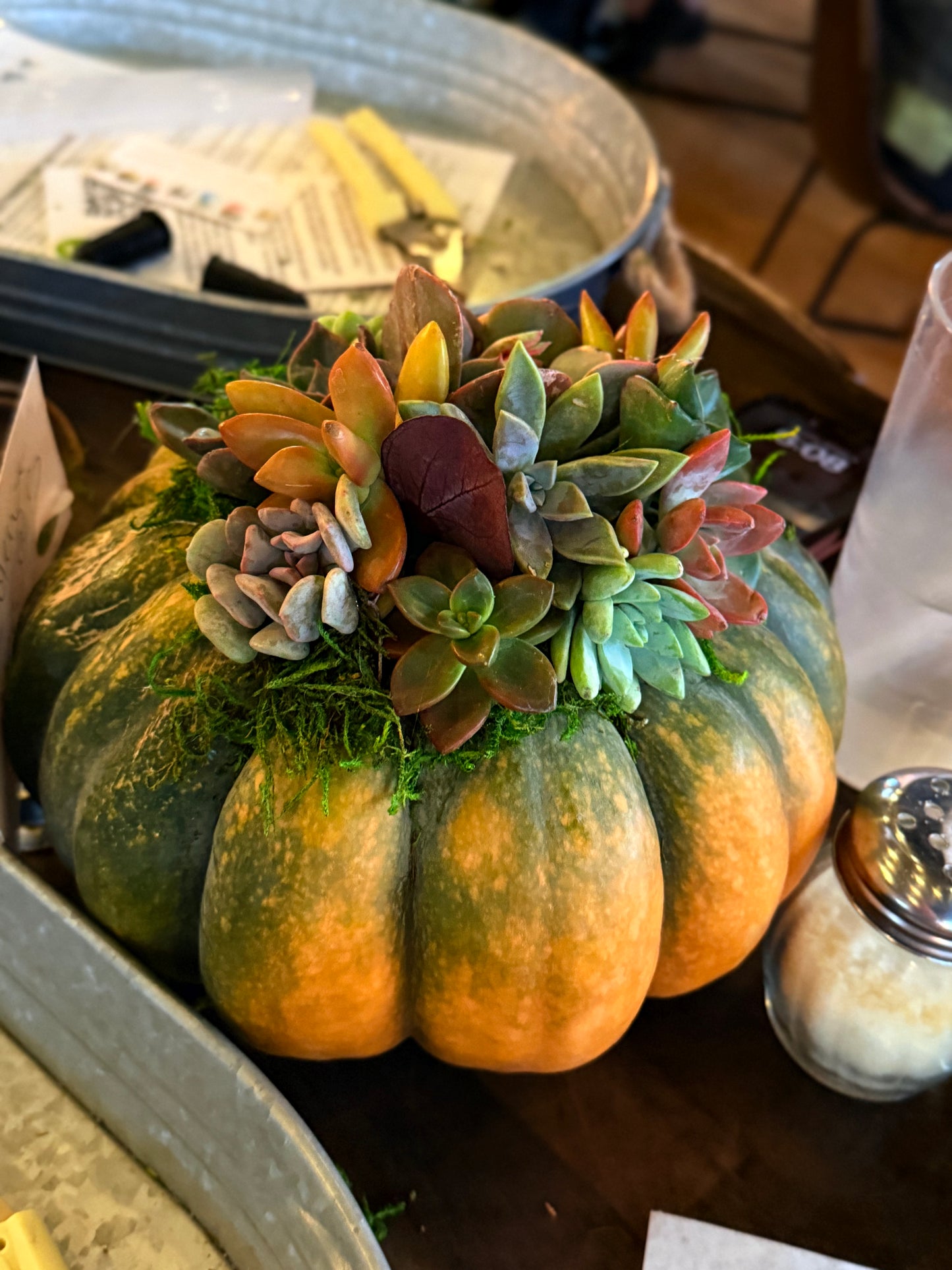 Succulent Pumpkin Workshop| Copper Trail Brewing Co. | Alexandria, MN - Oletoberfest