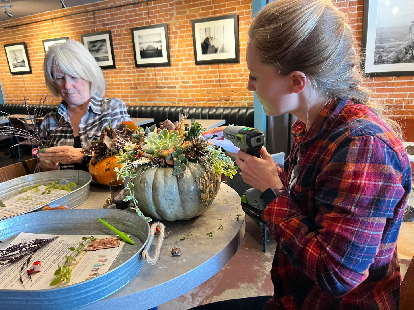 Succulent Pumpkin Workshop at Copper Trail Brewing - Alexandria, MN