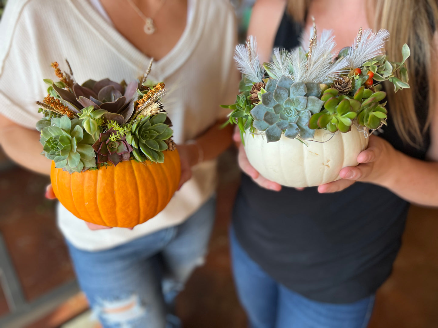 Succulent Pumpkin Workshop| Copper Trail Brewing Co. | Alexandria, MN - Oletoberfest